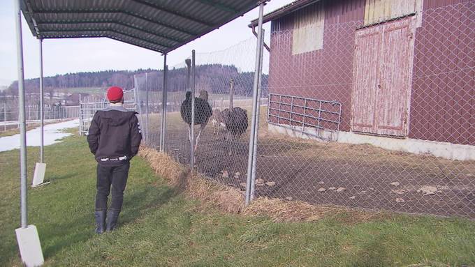 Teaser «unterwegs»