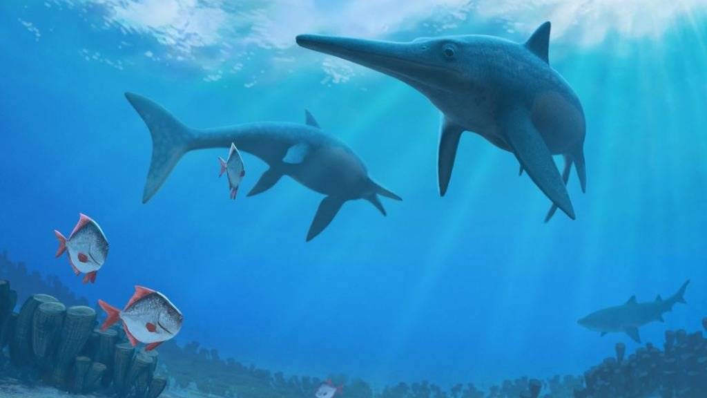 Die Delfin-ähnlichen Ichthyosaurier verschwanden vor rund 93 Millionen Jahren. Was zu ihrem Aussterben führte, haben Wissenschaftler nun ergründet.