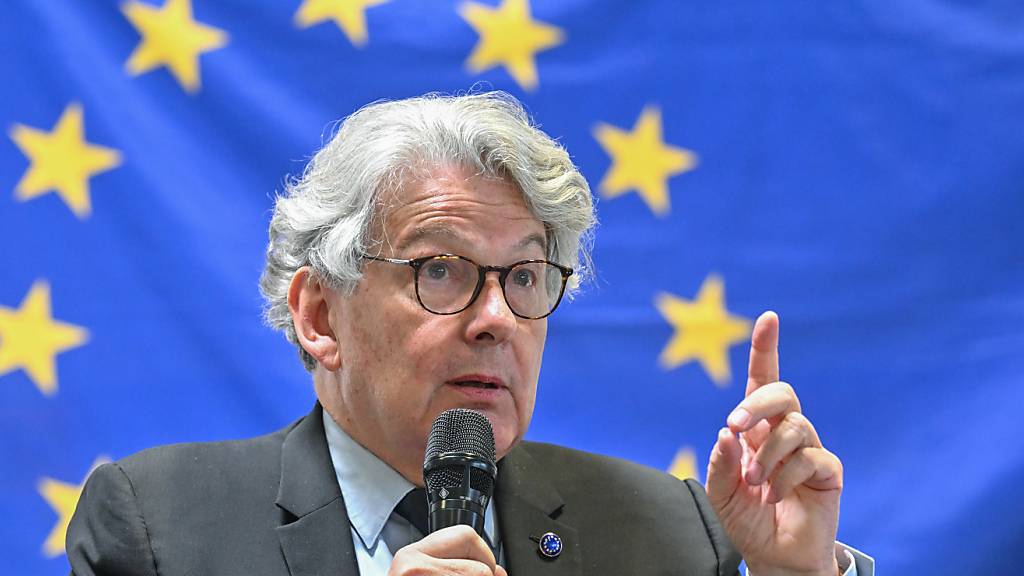 ARCHIV - Der EU-Kommissar für Binnenmarkt und Dienstleistungen Thierry Breton legt sein Amt nieder. Foto: Patrick Pleul/dpa