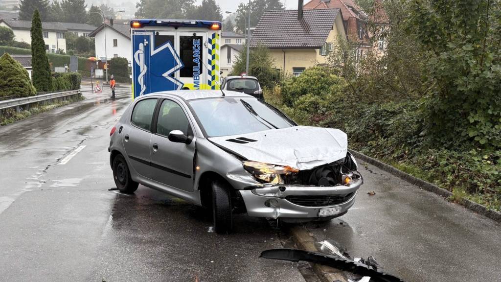 Die Fahrzeuglenkerin prallte mit ihrem Auto in die Leitplanke.