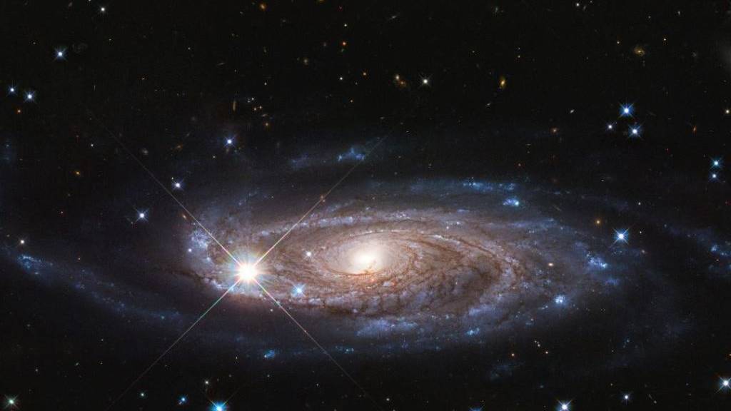 Die Galaxie UGC 2885 ist womöglich die grösste bekannte Galaxie im näheren Universum.