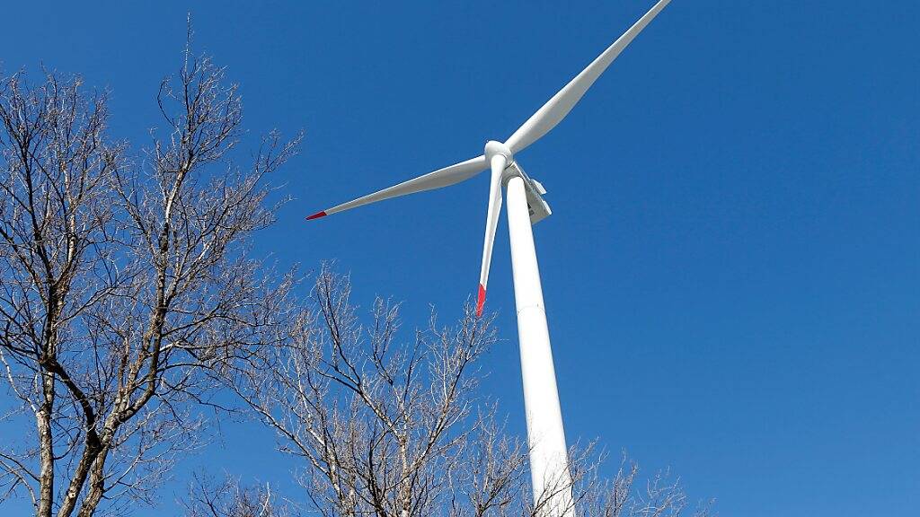 Bevölkerung soll über Windräder abstimmen – zwei Initiativen fordern mehr Mitspracherecht und Waldschutz