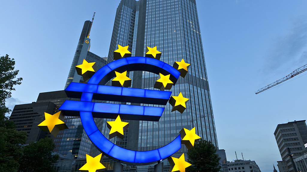 Die deutsche Regierung soll den massiven Staatsanleihenkäufen der Europäischen Zentralbank (EZB) entgegentreten. (Archivbild)
