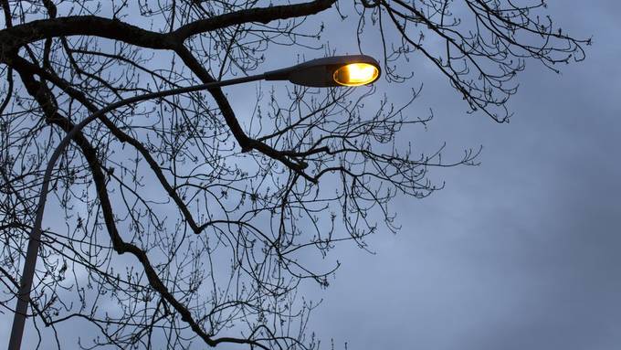 Defekt: Lampen leuchten, obwohl es hell ist