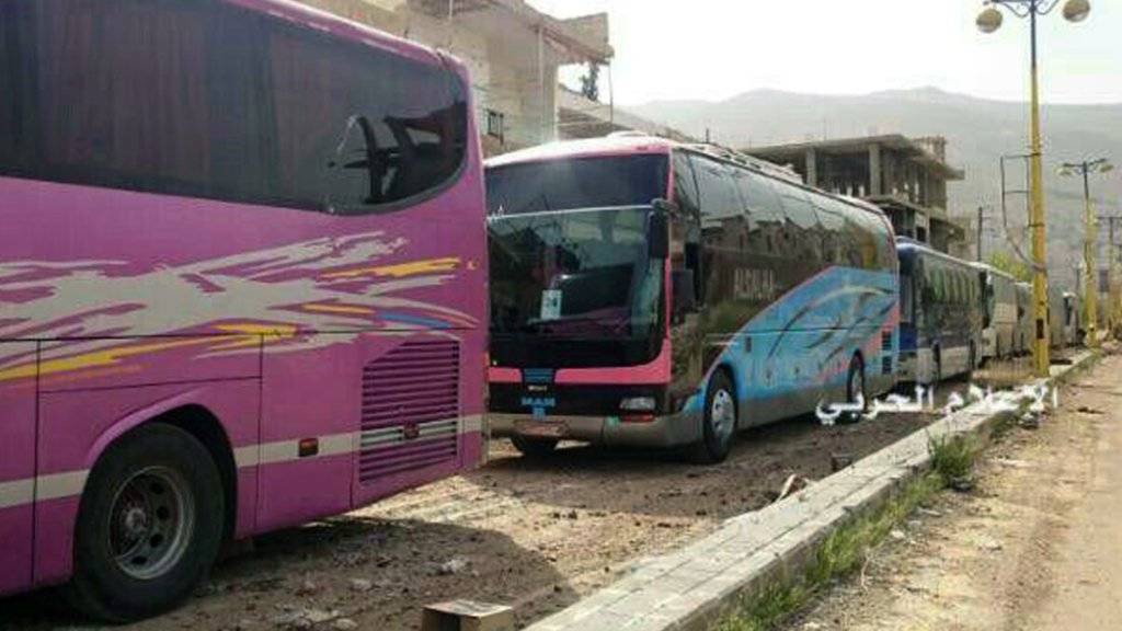 Busse in den zu evakuierenden Städten Madaja und Sabadani.