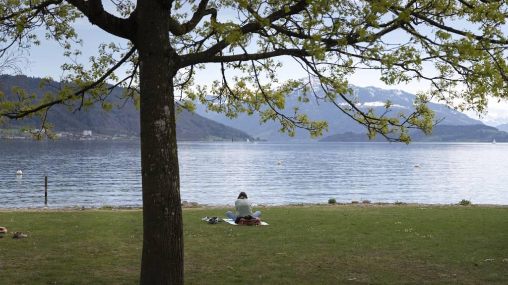 Der Zugersee hat zu viel Phosphor. (Archivaufnahme)