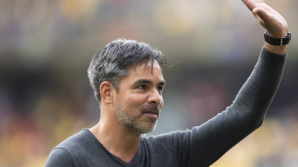 Trainer David Wagner wird für seinen Mut gelobt