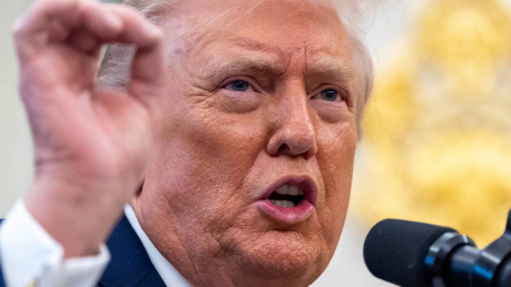 ARCHIV - US-Präsident Donald Trump spricht im Oval Office des Weißen Hauses. Foto: Alex Brandon/AP/dpa