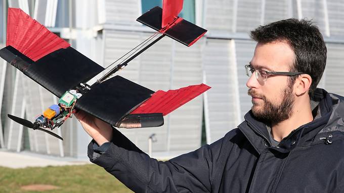 EPFL-Forscher bauen Drohne nach Vogel-Vorbild