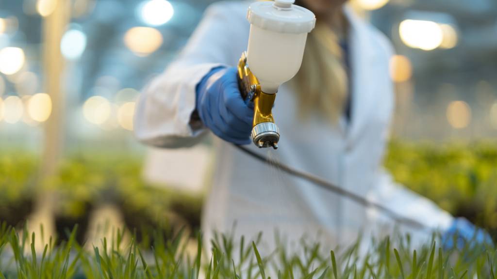 Eine schnellere Zulassung von EU-Pflanzenschutzmitteln soll die Produktionskraft in der Landwirtschaft erhöhen. (Archivbild)