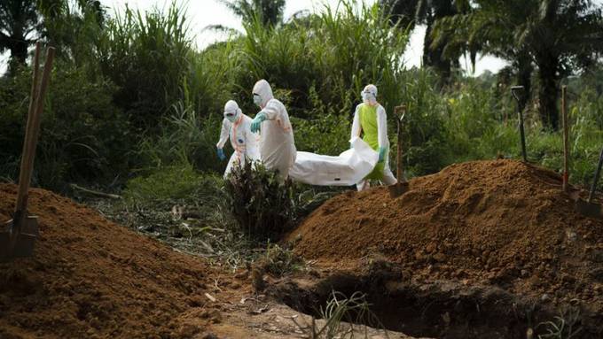 Forscher finden zwei neue Medikamente gegen Ebola