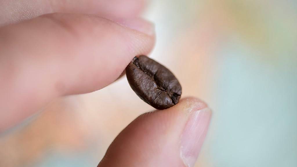 Auf Verbraucherinnen und Verbrauchern könnten aus Sicht der Kaffeeindustrie ab kommendem Jahr Versorgungsengpässe und höhere Preise zukommen. (Symbolbild)