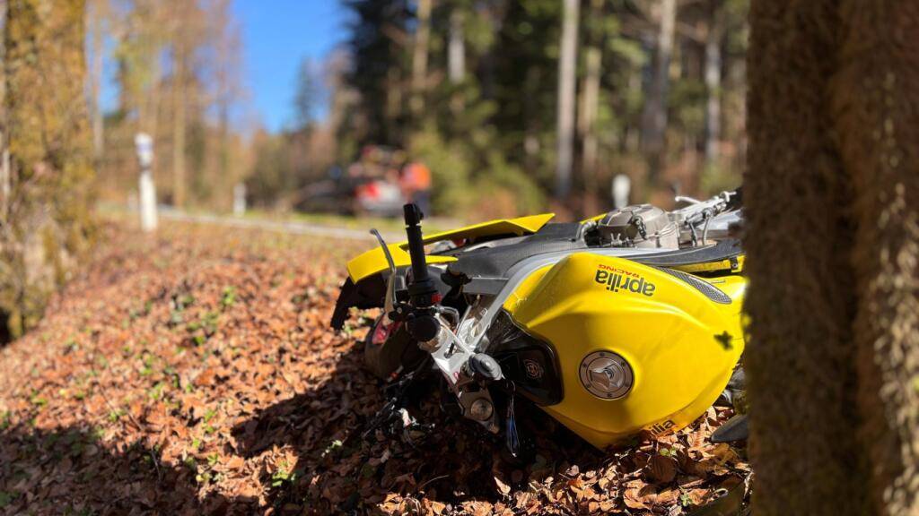 Weshalb der 24-jährige Töfflenker bei Uster von der Strasse abkam und mit einem Baum kollidierte, ist noch unklar. Der Mann wurde schwer verletzt.