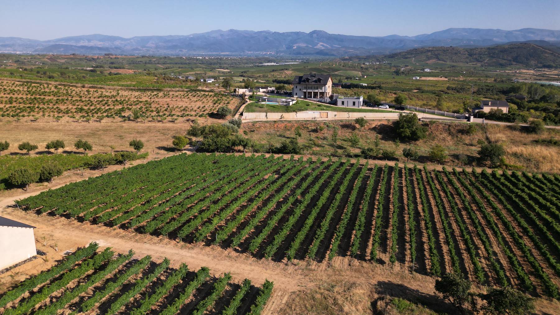 Roland Barmet besitzt in der spanischen Region El Bierzo zudem ein Weingut und Olivenplantage für Olivenöl, welches in die Schweiz importiert wird.
