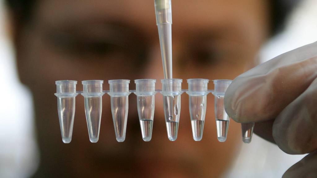 Forschende haben für eine neue Studie Gene von Menschen analysiert, die vor bis zu 34'000 Jahren lebten. (Symbolbild)