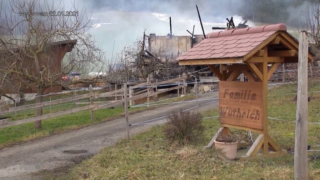 PETA klagt Landwirt an: Ganzes Dorf stellt sich hinter die Familie