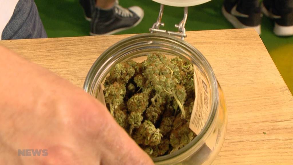 Medizinisches Cannabis wird legalisiert - TeleBärn