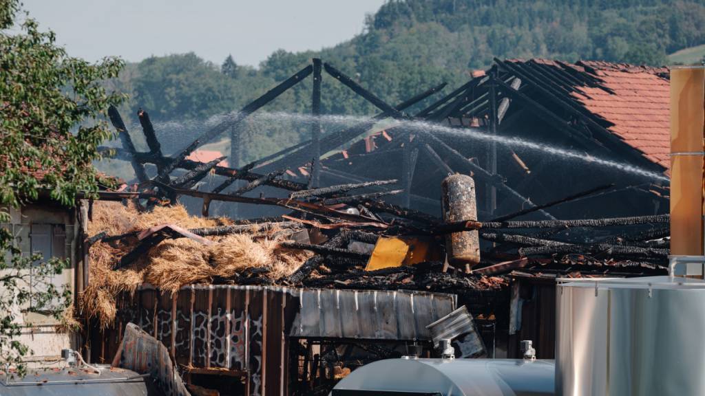 250 Rinder sterben bei Brand auf Bauernhof in Palézieux VD