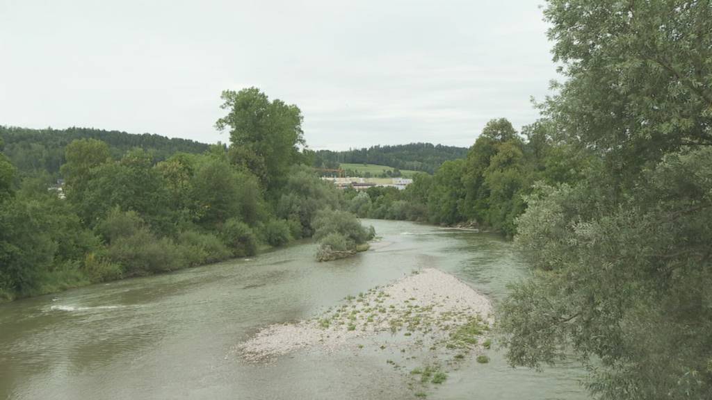 Fisch-Notstand: Der heisse Juli und seine Folgen für die Thur und die Fische darin