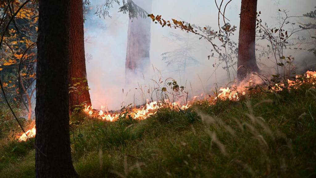 Waldbrandgefahr in der Zentralschweiz steigt