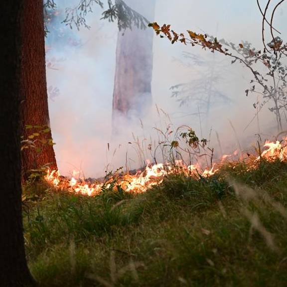 Waldbrandgefahr in der Zentralschweiz steigt