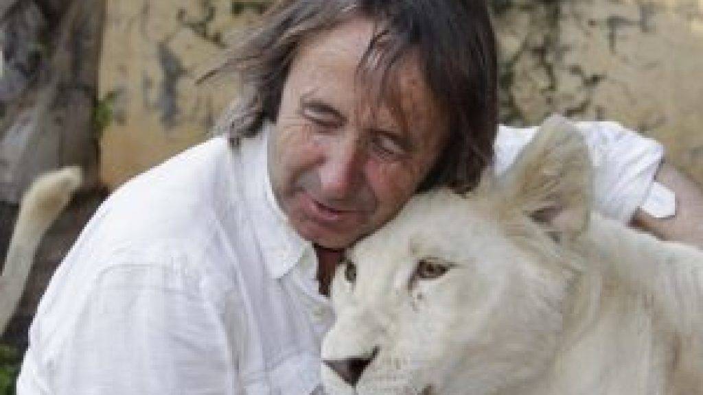 Zoogründer und -direktor Juan Luis Malpartida tröstet die weisse Löwin, die im März nach zwei Wochen Wehen das erste weisse in Spanien geborene Löwenjunge geboren hatte.  Das Muttertier hat nach der traumatischen Niederkunft ihr Junges verstossen (Pressebild)