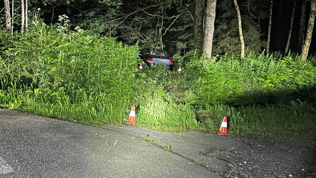 Alkoholisiert und auf Drogen: 21-jähriger Autofahrer landet nach Selbstunfall im Wald