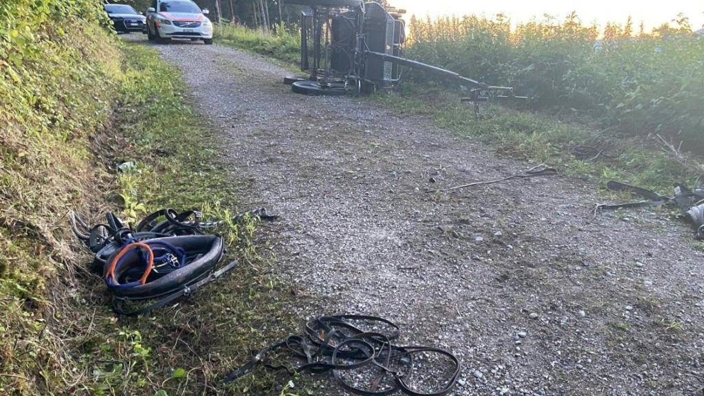 Die von vier Pferden gezogene Kutsche kippte auf einem Waldweg in Brittnau AG um. Passagiere wurden aus ihren Sitzen geschleudert.