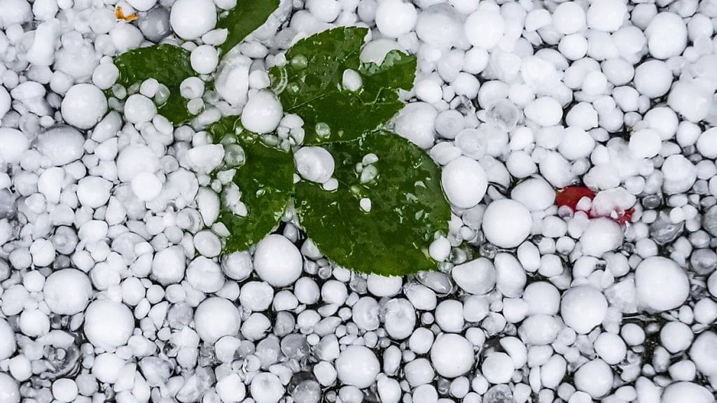 In Flawil SG ging am Nachmittag heftiger Regen und Hagel nieder. (Symbolbild)