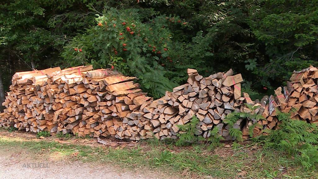 Unbekannte bereichern sich unerlaubterweise an Brennholz