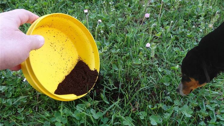 Kampf Gegen Giftkoder Kaffeesatz Im Garten Halt Die Hunde Fern