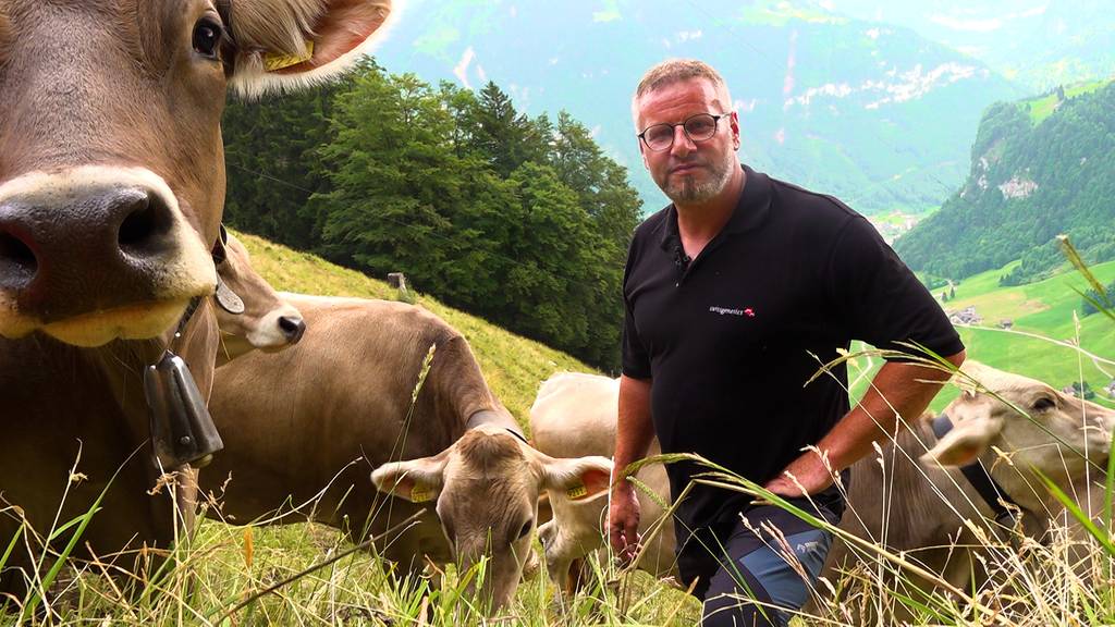 Lange Märsche auf abgelegene Alpen - «Kühe müssen besamt werden, wenn sie stierig sind» 