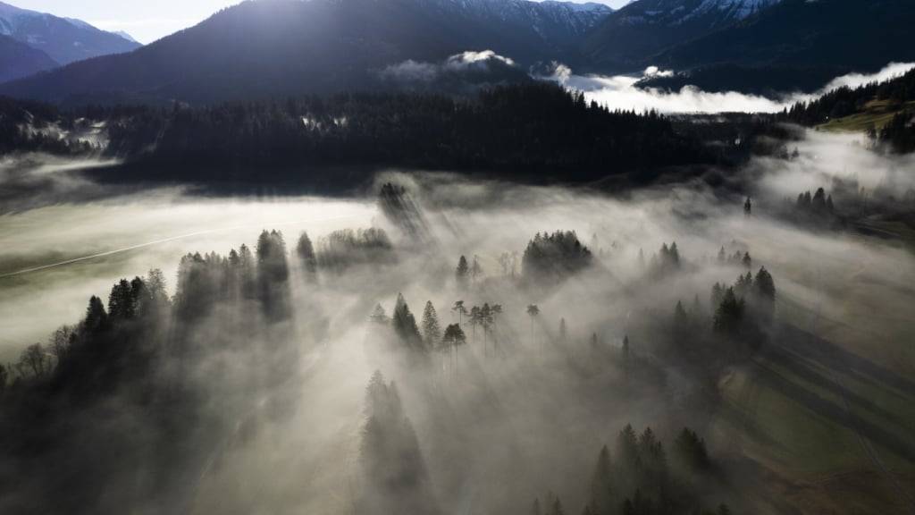 Die Römer haben die Wälder in den Alpen stark abgeholzt. (Archivbild)