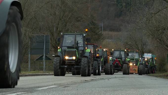 So laufen die Bauernproteste an der Aargauer Grenze 