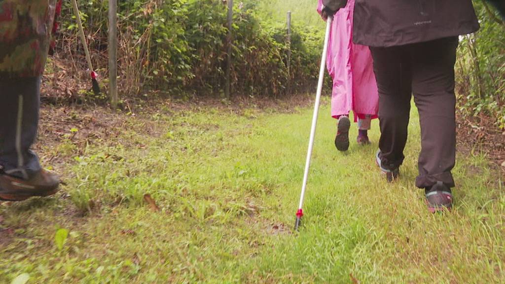 Frau kann nach Tetraplegie wieder gehen und läuft vom SPZ nach Hause
