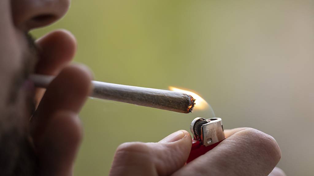 ARCHIV - An deutschen Bahnhöfen ist der Cannabis-Konsum verboten. Foto: Hannes P Albert/dpa
