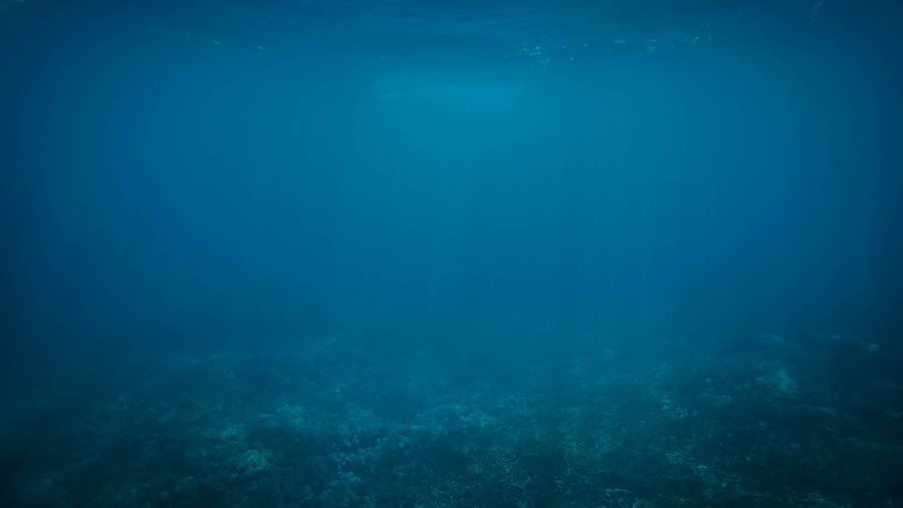 Ökumera, Oekumera – Unterwasser, Ozean, Meer, Wasser