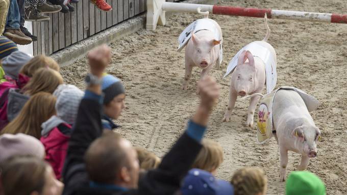 Füria entscheidet Fotofinish für sich