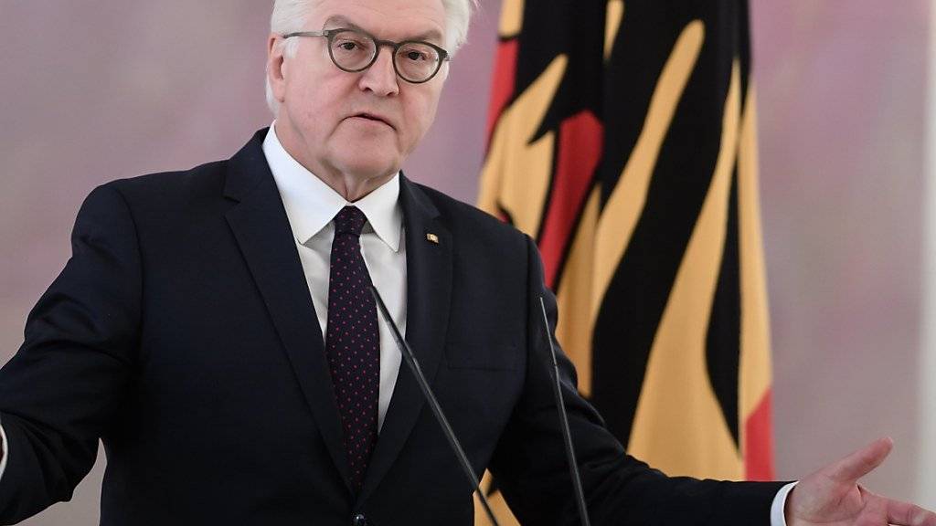 Der deutsche Bundespräsident Frank-Walter Steinmeier redet den Parteien ins Gewissen.