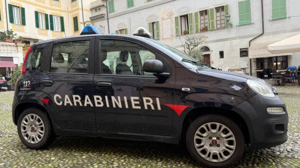 ARCHIV - Ein Fahrzeug der italienischen Carabinieri. Foto: Robert Messer/dpa