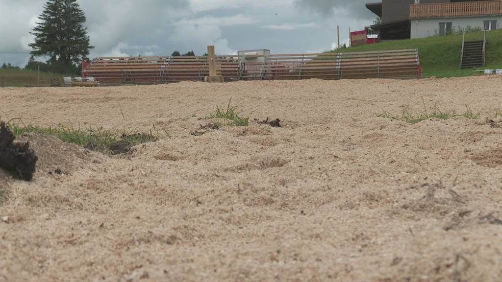 Blick in die Schwingarena auf dem Ricken
