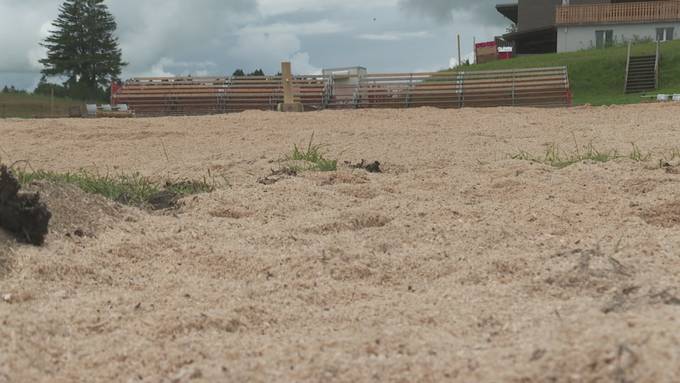 Blick in die Schwingarena auf dem Ricken