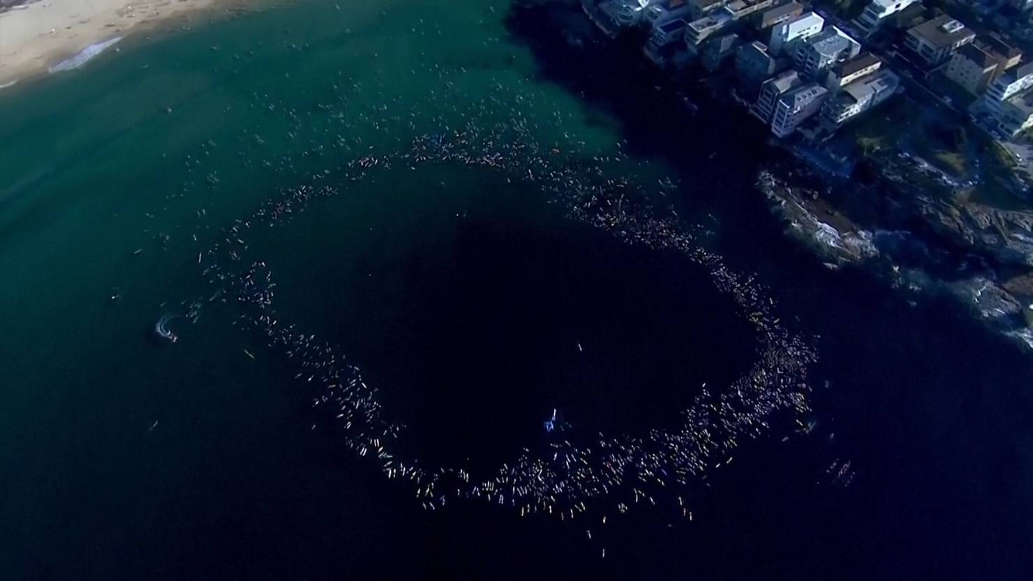 Hunderte Surfer gedenken der Terroropfer am Bondi Beach | TeleZüri