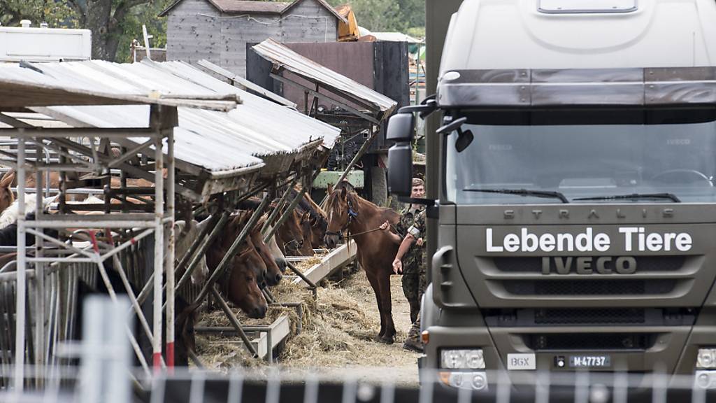 Das Militär sicherte im August 2017 die Pferde, die in Hefenhofen TG beschlagnahmt worden waren. (Archivbild)