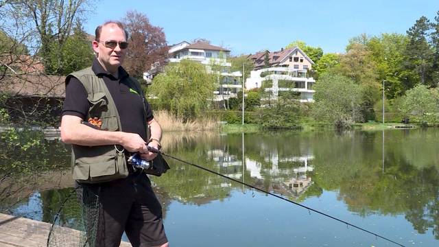 Aquarium im Egelsee entsorgt