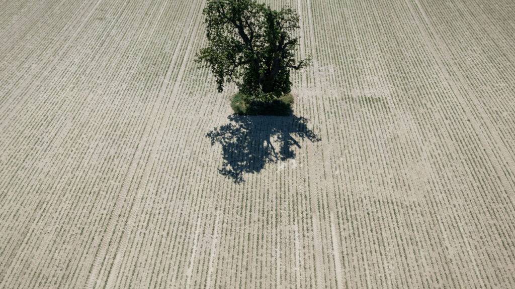 90 Prozent weniger Emissionen: EU hat neues Klimaschutzziel