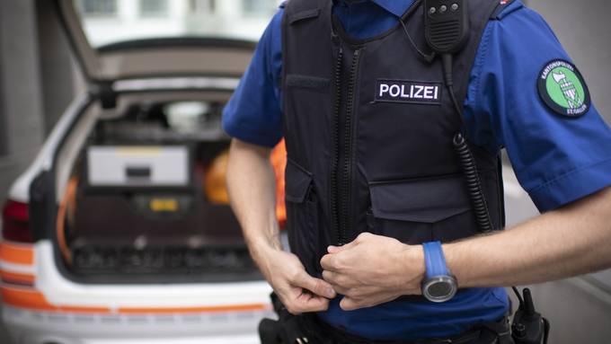 Mann attackiert zwei Kantonspolizisten mit Eisenstange