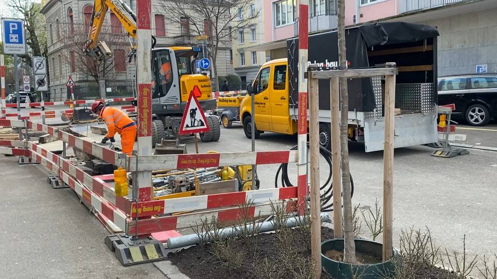 Stadt Zürich pflanzt Bäume an der Florastrasse – leichter gesagt als getan