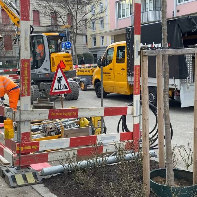 Stadt Zürich pflanzt Bäume an der Florastrasse – leichter gesagt als getan