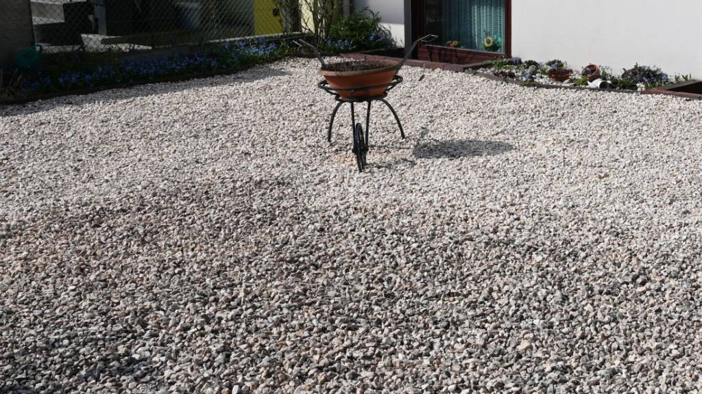 Verbot führt in Zürich zu Wildbienenhabitat statt Schottergarten